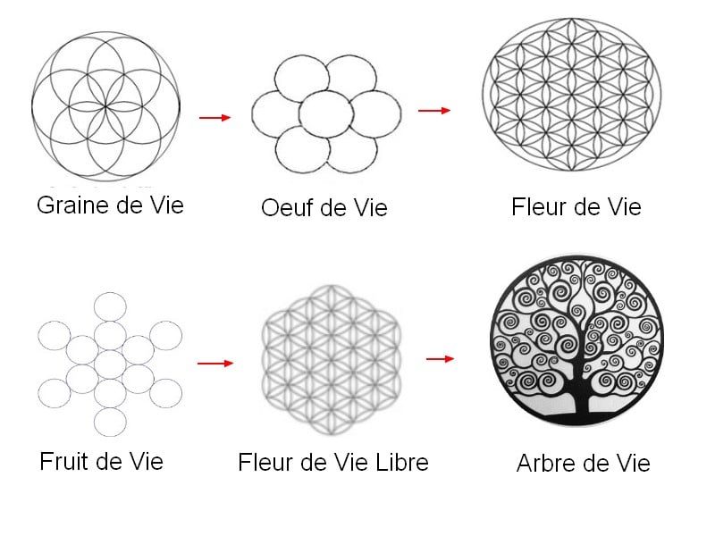 Fleur de vie - Significations, Symboles et Bijoux - Géométrie Sacrée -  France Minéraux